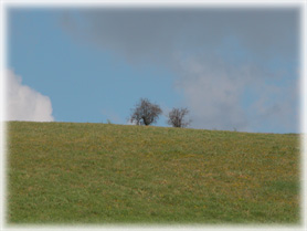 Foto dalla Finestra Piccola