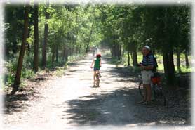 Bosco della Mesola - In bicicletta