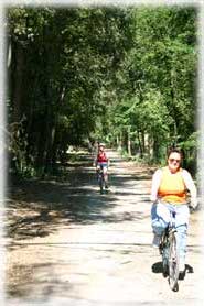 Bosco della Mesola - In bicicletta