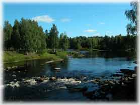 Niemijaumlrvi