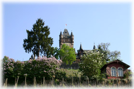 Cochem - Scorcio del castello