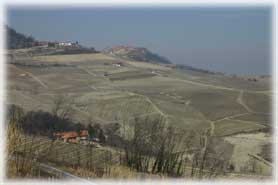 Barolo - Veduta paesaggio circostante