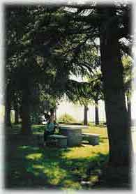 Belvedere di Albugnese