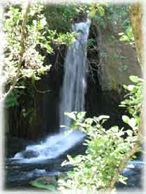 Cascate di Monte Gelato