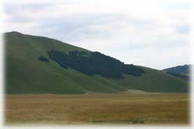 L'Altopiano di Castelluccio di Norcia
