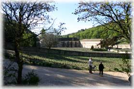 Abbazia di Senanque - Veduta