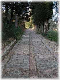 Abbazia Monte Oliveto Maggiore - Strada di collegamento tra l'ingresso ed il complesso abbaziale