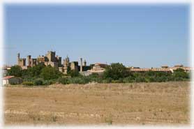 Olite - Veduta