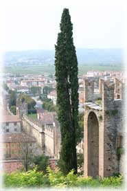 Soave - Panorama